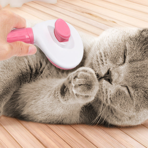 ЧЕТКА ЗА ЧЕШЛАЊЕ НА МИЛЕНИЧЕ